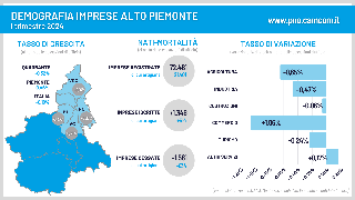 Tessuto imprenditoriale nell’Alto Piemonte, la camera di commercio: "Nel primo trimestre 2024, lieve calo di imprese"